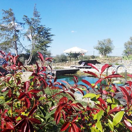 Bela Vista Silo Housing Βίλα Alfândega da Fé Εξωτερικό φωτογραφία