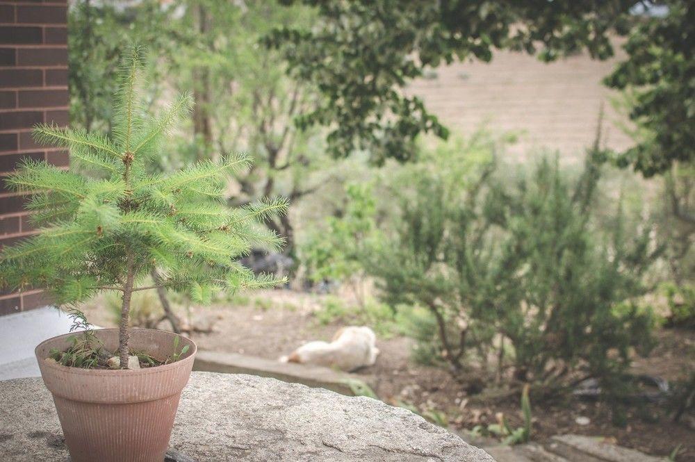 Bela Vista Silo Housing Βίλα Alfândega da Fé Εξωτερικό φωτογραφία
