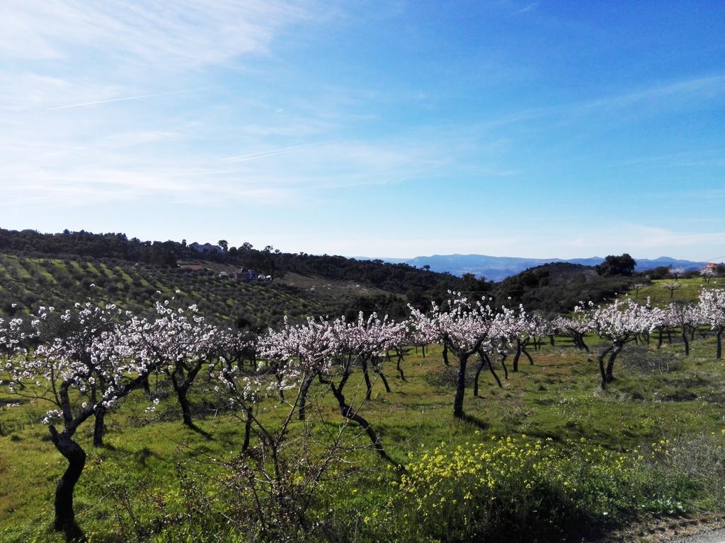 Bela Vista Silo Housing Βίλα Alfândega da Fé Εξωτερικό φωτογραφία