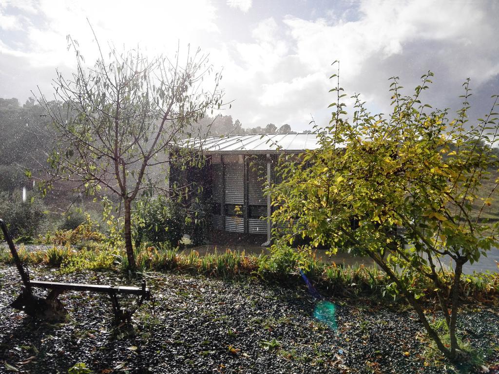 Bela Vista Silo Housing Βίλα Alfândega da Fé Εξωτερικό φωτογραφία