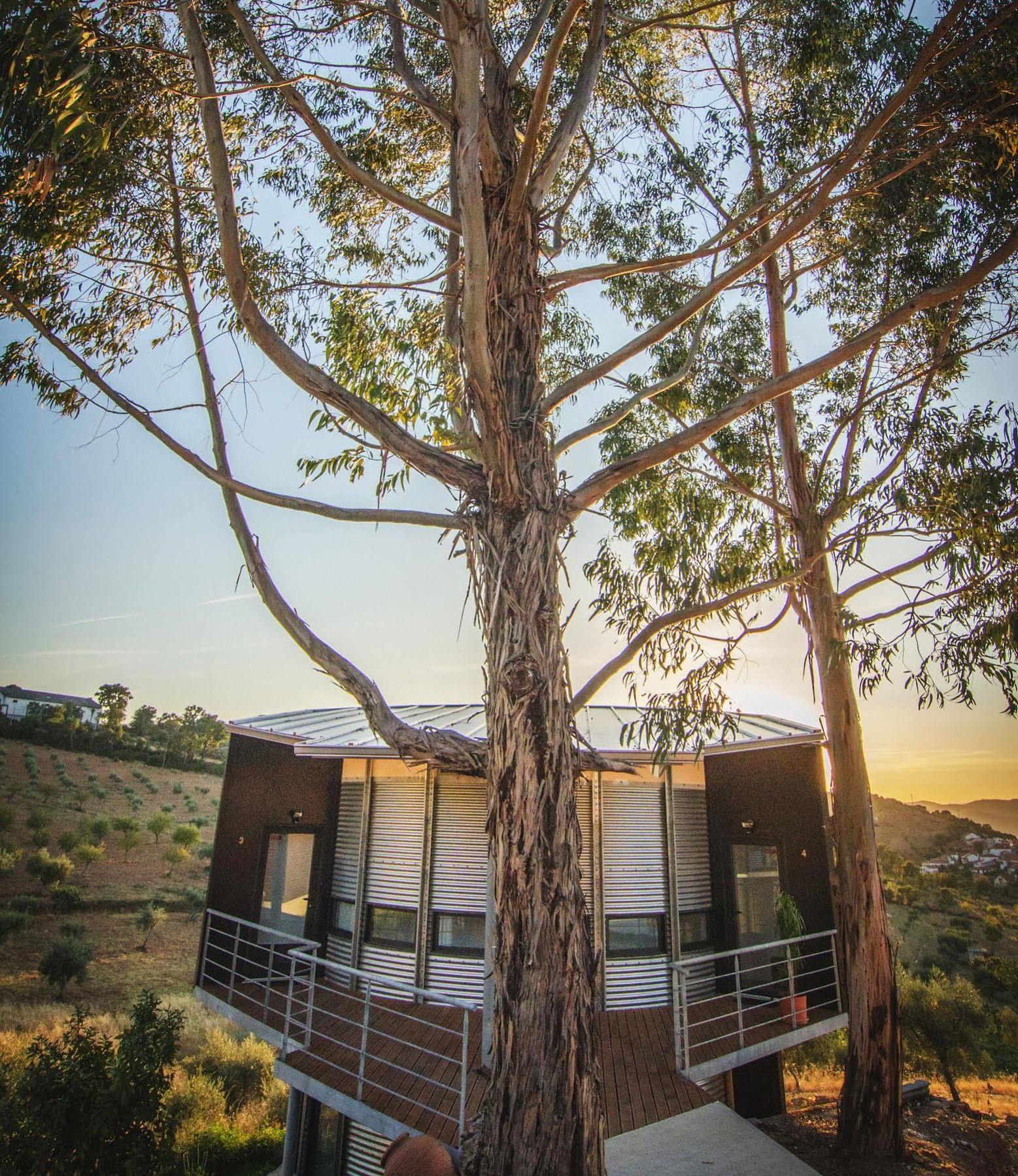 Bela Vista Silo Housing Βίλα Alfândega da Fé Εξωτερικό φωτογραφία